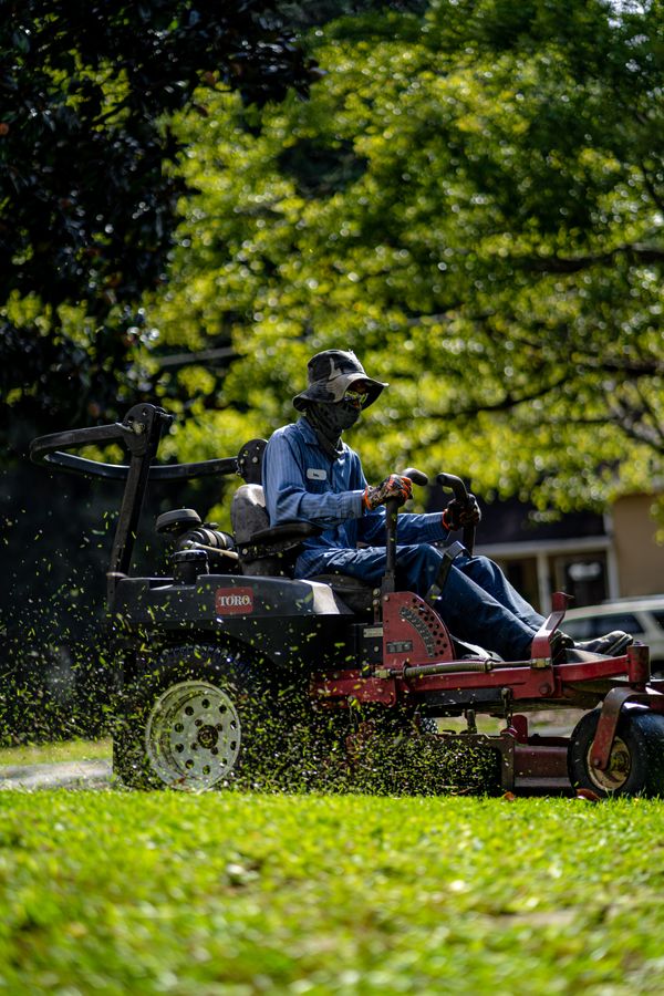 Landscaping crew maintaining a lawn